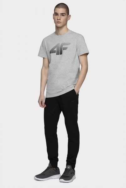 Футболка 4F NOSD4-TSM302-27M р.3XL серый