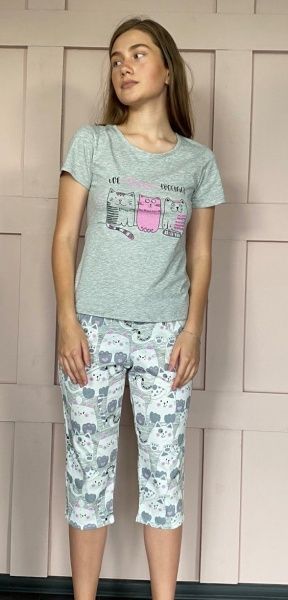 Пижама женская Roksana Cat 861/12223 р. XXL серый 