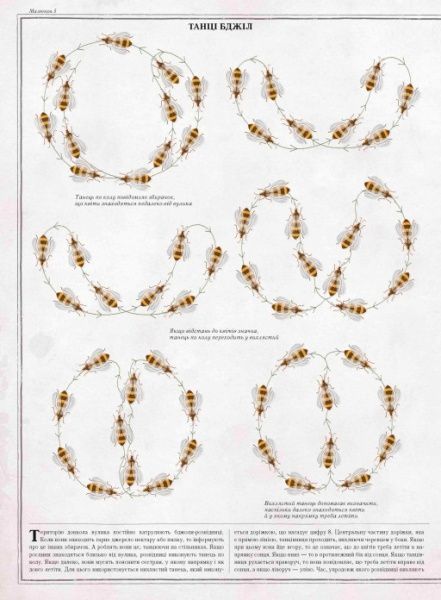 Книга Петр Соха «Бджоли» 978-966-915-239-8