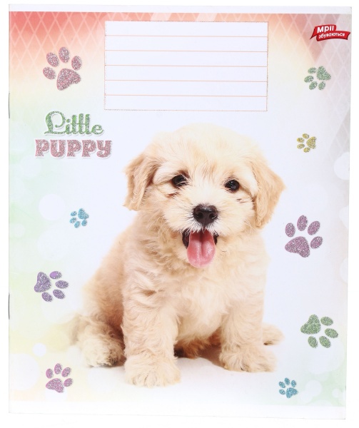 Тетрадь школьная с глитером 18 листов в линейку в ассортименте Мечты сбываются