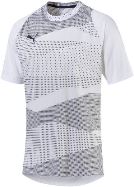 Футболка Puma ftblNXT Graphic Shirt Core 65578101 M серый