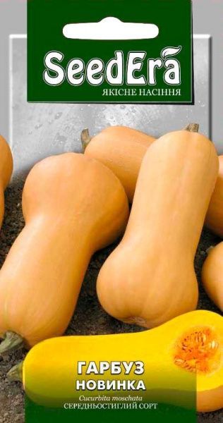 Семена Seedera тыква Новинка 3г