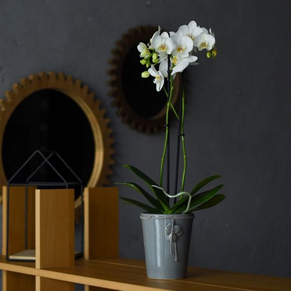 Кашпо керамічне Дон Пион Garden Beaty 258 круглий 1л сірий 