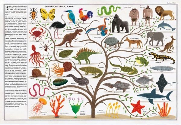 Книга Пйотр Соха «Дерева» 978-966-915-310-4