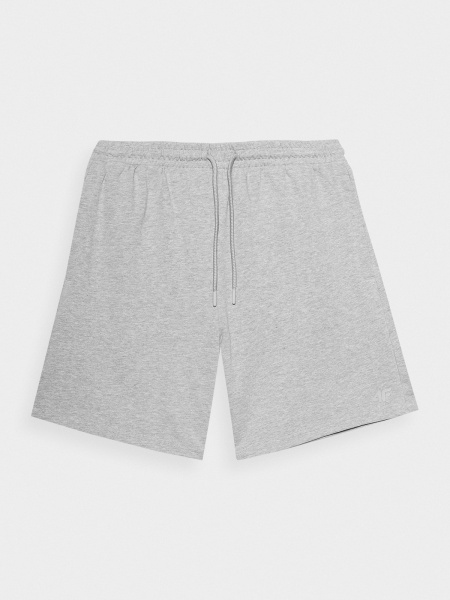 Шорти 4F SHORTS CAS M340 4FRSS23TSHOM340-27M р. 2XL сірий