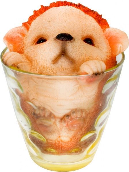 Світильник на сонячній батареї Camelion SG-145 LED IP44 різнокольоровий 