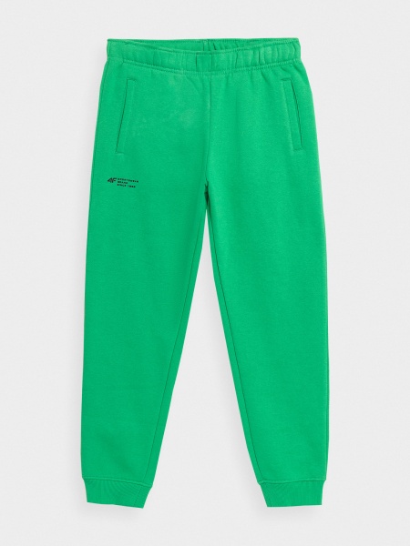 Брюки 4F TROUSERS CAS 4FJSS23TTROM556-42S р. 146 зеленый