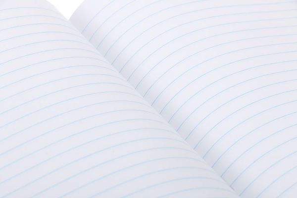 Набор школьных тетрадей #Школа 4 шт. 24 листа в линию SC19-239-2 KITE