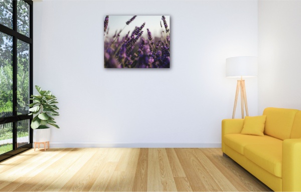 Картина Лаванда 80x100 см GIS UKRAINE 