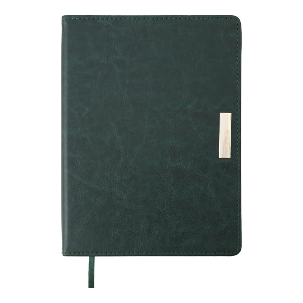 Щоденник недатований SALERNO зелений Buromax A5 2023