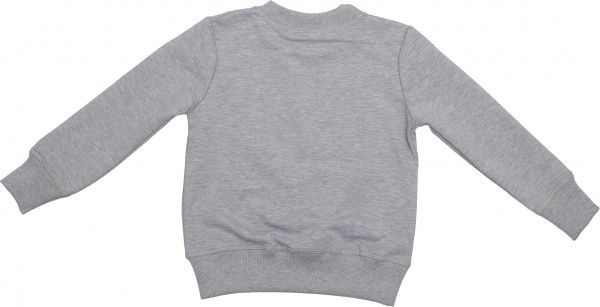 Свитшот Маленькие люди 4 р.128 серый 