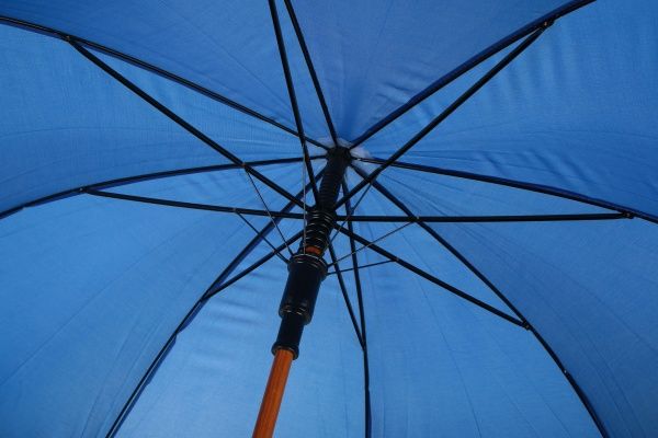 Зонт Economix Twist Promo синий 