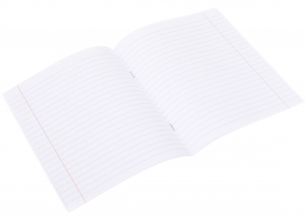 Зошит шкільний Kitten 12 аркушів лінія Nota Bene