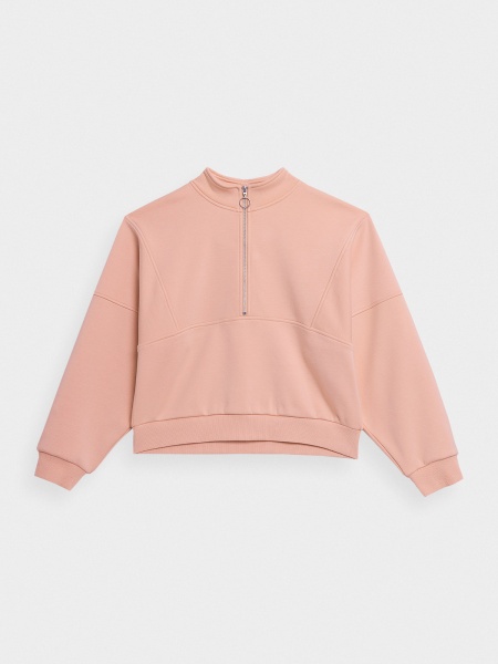 Свитшот 4F SWEATSHIRT F594 4FSS23TSWSF594-56S р. L розовый