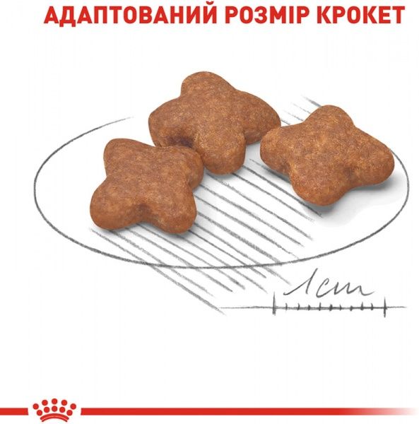 Корм Royal Canin для собак MINI ADULT 8+ 2 кг