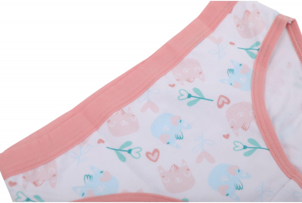 Набор трусов для девочек HW 3 пары р.134-140 белый с голубым G4