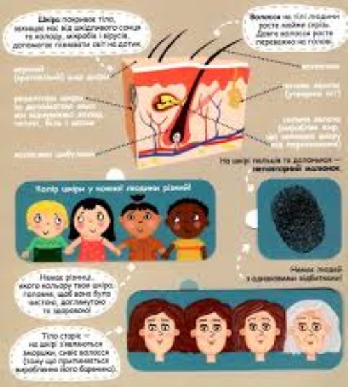 Книга Галина Дерипаско «Твоє дивовижне тіло» 978-966-429-711- 7