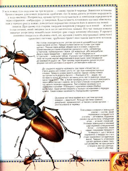 Книга «Велика енциклопедія тварин (нова обкладинка)» 978-966-462-988-8