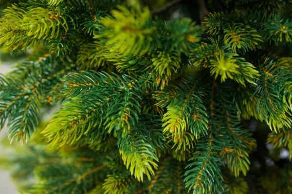 Искусственная елкаАрия/Н-210 зеленый 