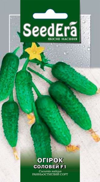 Насіння Seedera огірок Соловей F1 0,5г