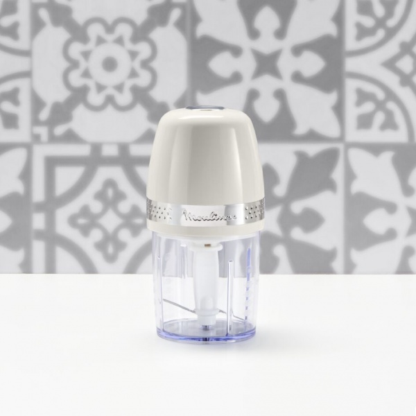 Измельчитель Moulinex Soleil Mini DJ360A10 