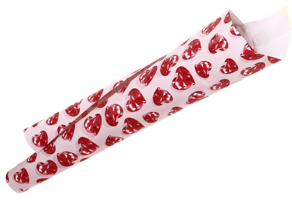 Бумага для упаковки Bourgeois 70x100 см 