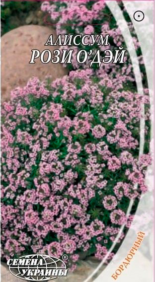 Насіння Семена Украины лобулярія морська Розі О`Дей 766800 0,1 г