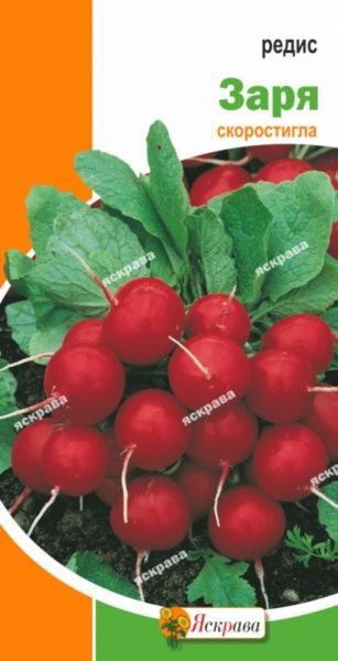Насіння Яскрава редиска Заря 3г (4823069810245)