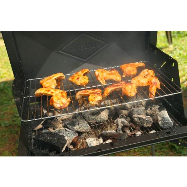 Гриль Forester Skvorcher Mobile SKV-M 50x30 см