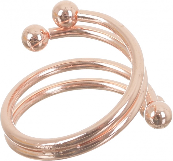 Набір кілець для серветок Golden Branch 6 шт