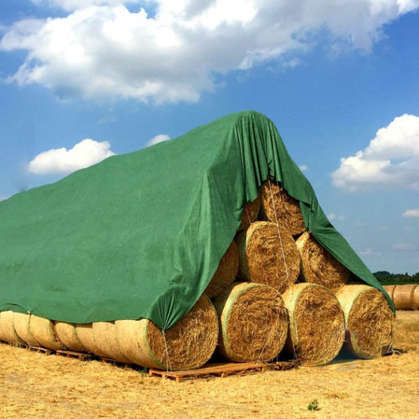 Тент Agreen 200 г/кв. м, 6x8 м темно-зелений