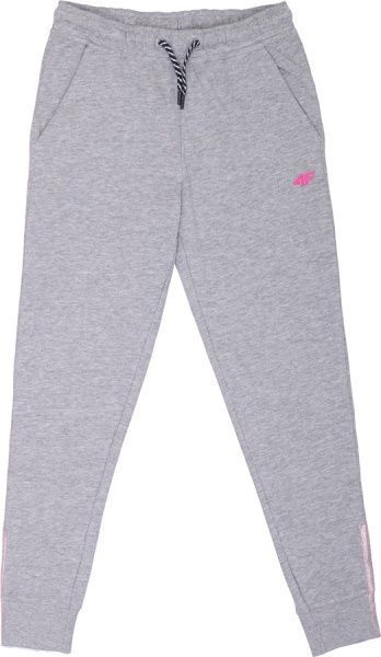 Брюки 4F HJL20-JSPDD001-25M р. 164 серый