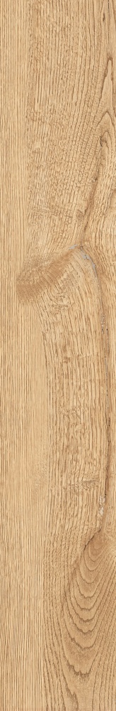 Плитка Allore Group Armario Honey F PR R Mat 19,8x120 см