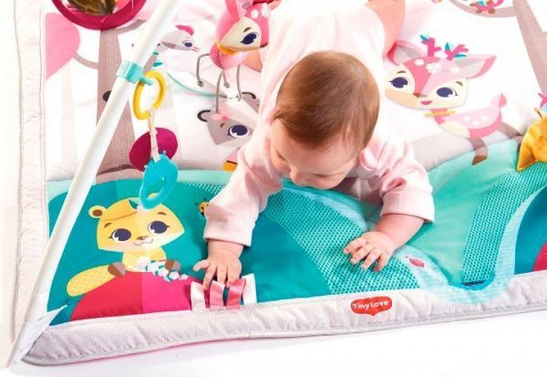 Развивающий коврик Tiny Love Мечты принцессы