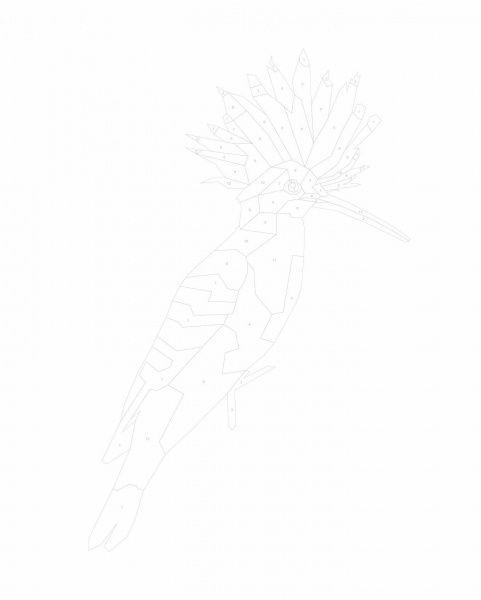 Раскраска по номерам «Зоометрія. Дивовижні птахи» 9-786-177-579-914