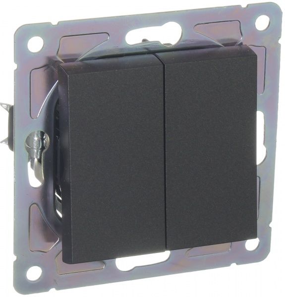 Механизм выключателя двухклавишный HausMark Alta без подсветки 10 А 220В черный SNG-SWP.SQ20MG2W1-BK