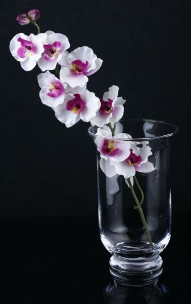 Ваза Айс 9x19 см