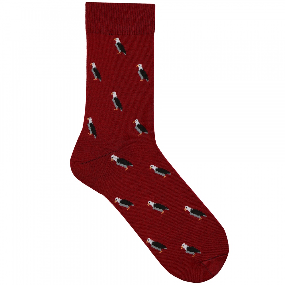 Шкарпетки чоловічі Premier Socks з орлом р.27 бордовий