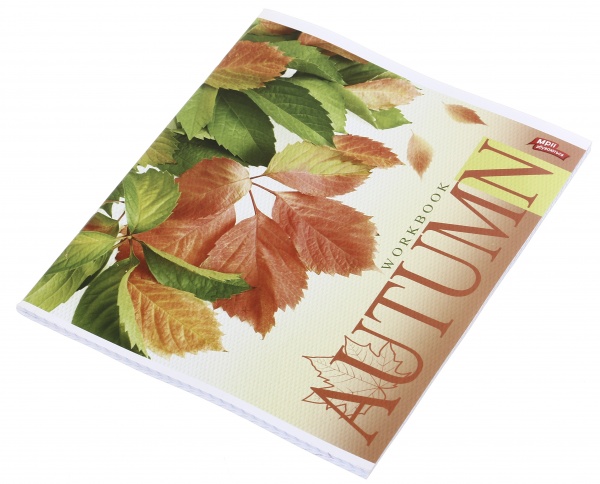 Зошит шкільний 60 аркушів у клітинку в асортименті Мрії збуваються