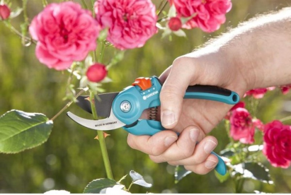 Секатор Gardena Classic B/S-M обводной (08857-20.000.00) 