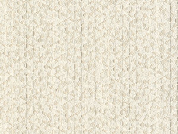 Шпалери вінілові на паперовій основі Слов'янські шпалери Expromt Оріон 5759-06 0,53x10,05 м 