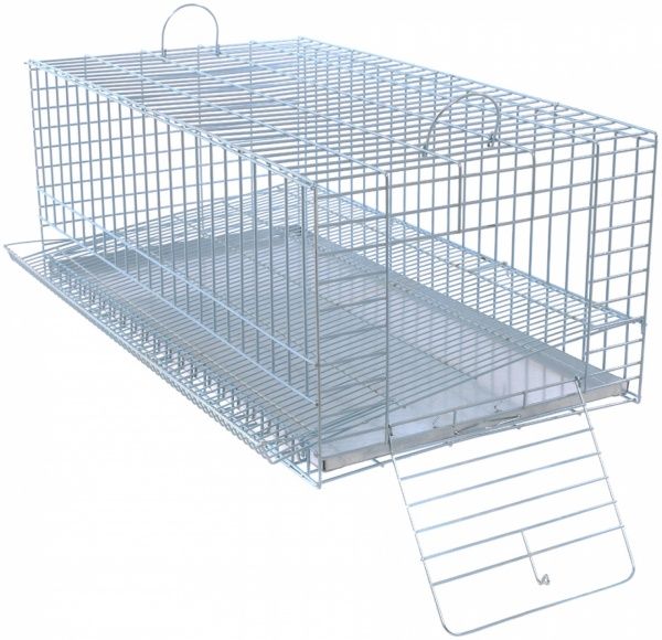 Клітка Лорі для перепілок 33х59х23,5 см