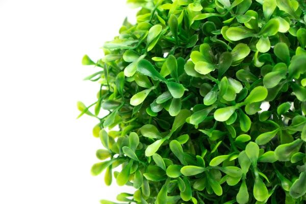 Растение искусственное Самшит св-зеленый 18 см 960187 Девилон