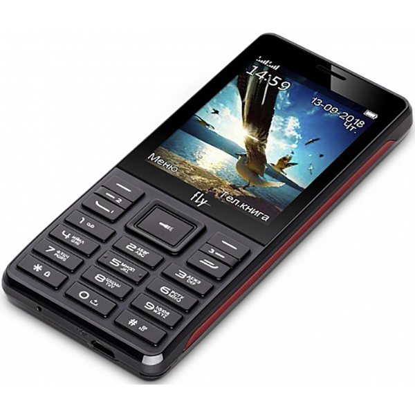 Мобильный телефон Fly TS114 Triple Sim Black