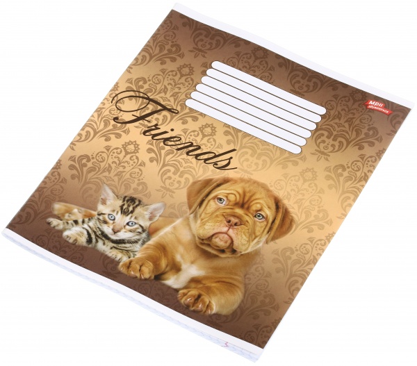 Тетрадь школьная уф-лак 48 листов в клеточку в ассортименте Мечты сбываются