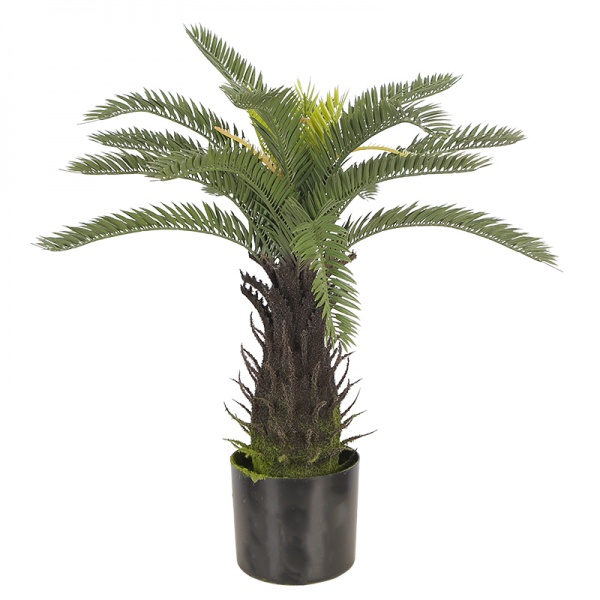 Дерево искусственное Cycas Palm (DW-25) Engard