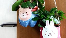 Как сделать горшки для цветов из бутылок