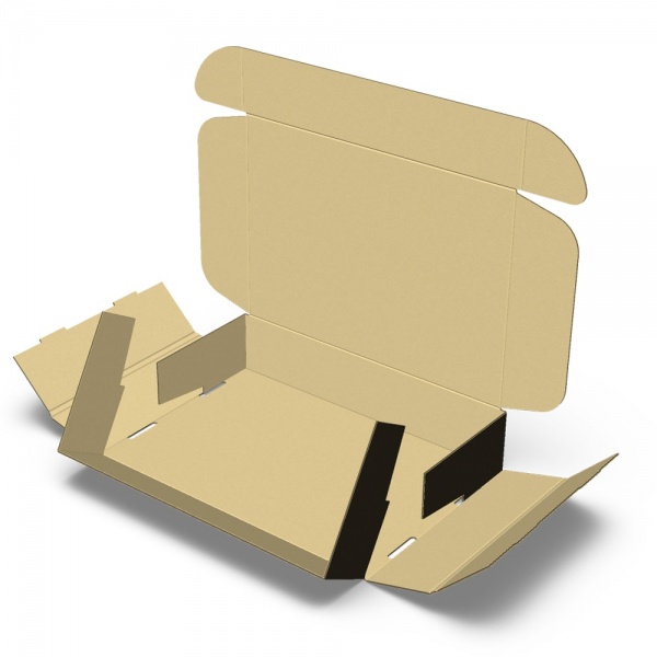 Картонная коробка +1 цвет (Black) 295*210*50 мм 210x295x50 мм