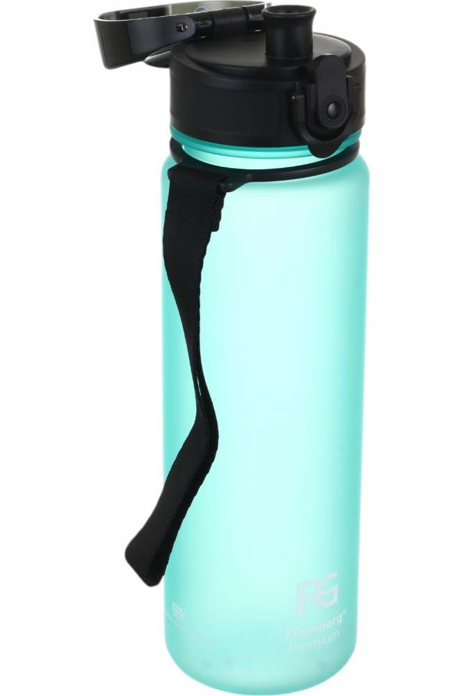 Бутылка для воды Flamberg Premium Frosted 500 мл голубой