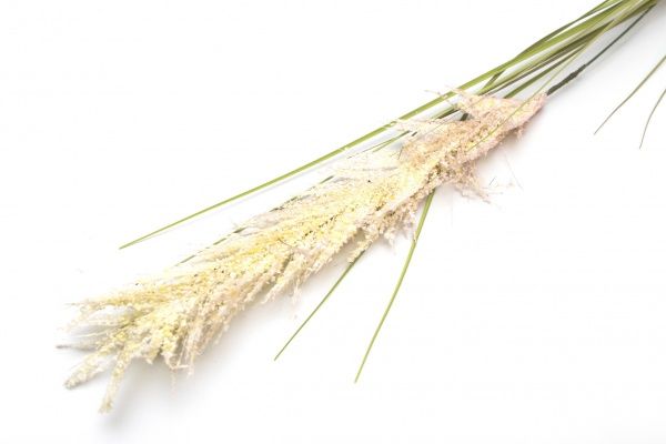 Веточка декоративная Осока 118 см зеленого цвета Девилон